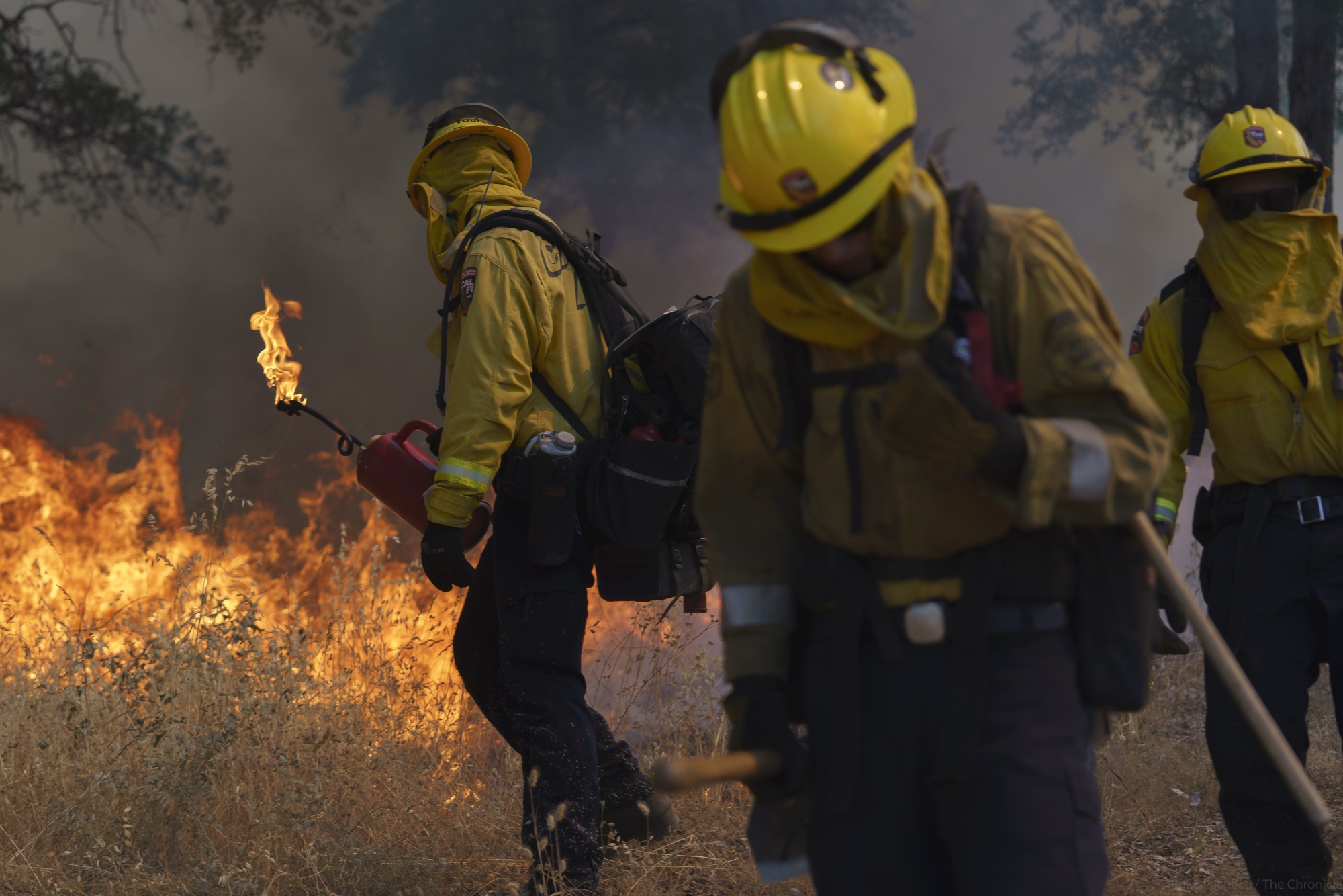 A CalFire firefighter uses a drip torch during a prescribed burn in Groveland, California. Controlled blazes are just one of the many ways the world can adapt to climate change.