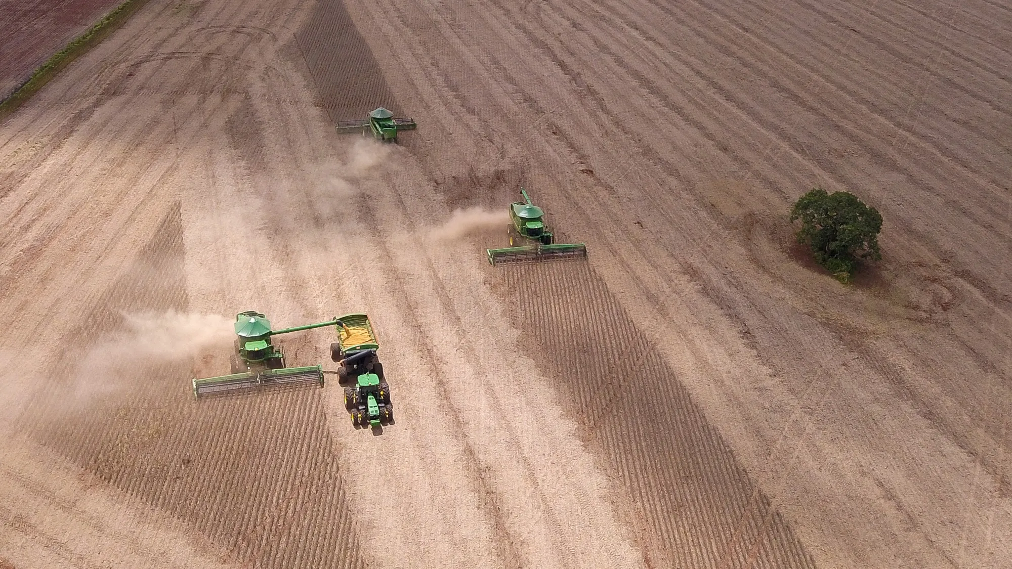 Recorde de pedidos de recuperação judicial em 2025