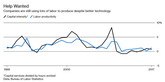 Automation Actually Creates More Jobs, at Least in the Beginning