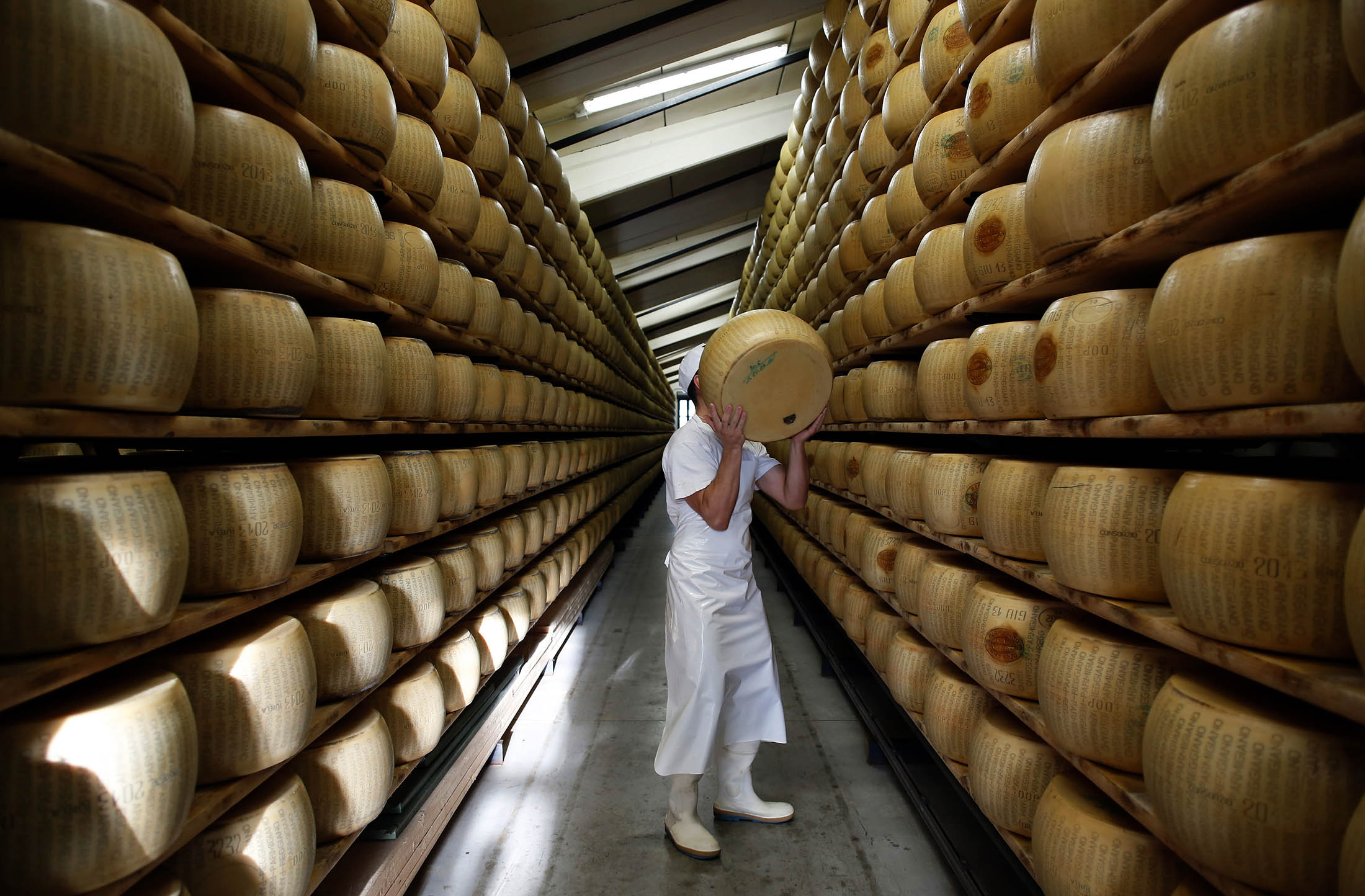 Why the cheese. Вятский пармезан. Суси Реджано стиль одежды фото. Cheese maker.