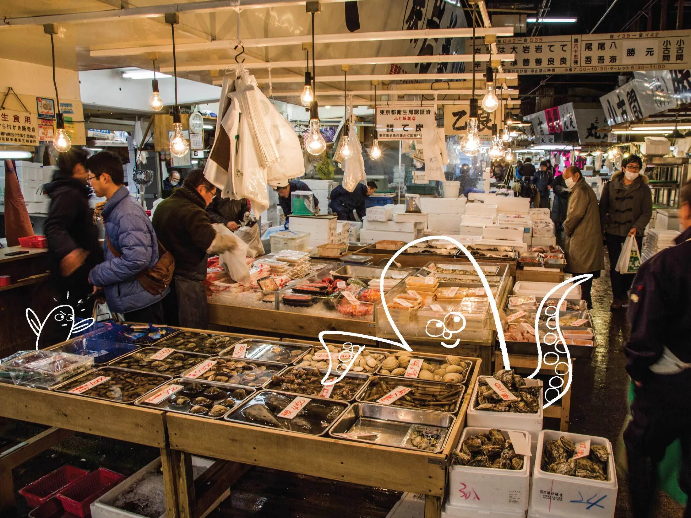 Seafood on display at the old Tsukiji Market.