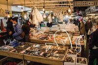 Seafood on display at the old Tsukiji Market.