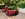 PURSUITS_WEB_Maybach SL 680