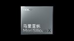 MariSilicon X chip.