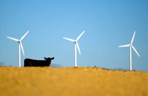 Operations At Capital Wind Farm