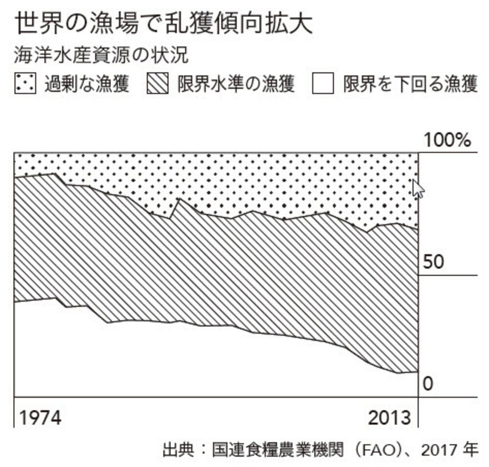 世界規模の魚の乱獲で食卓に忍び寄るリスク、解決策は－QuickTake