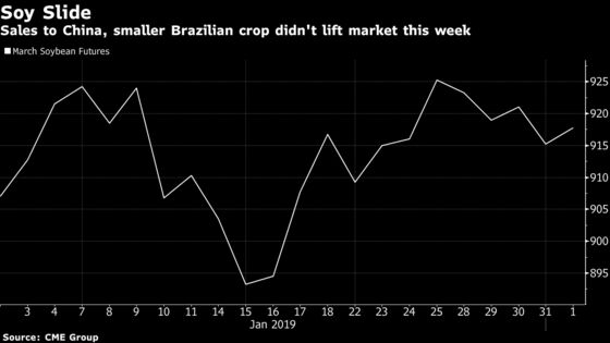 Trump’s ‘Very Happy’ Farmers Remain Wary on Soy Sales to China