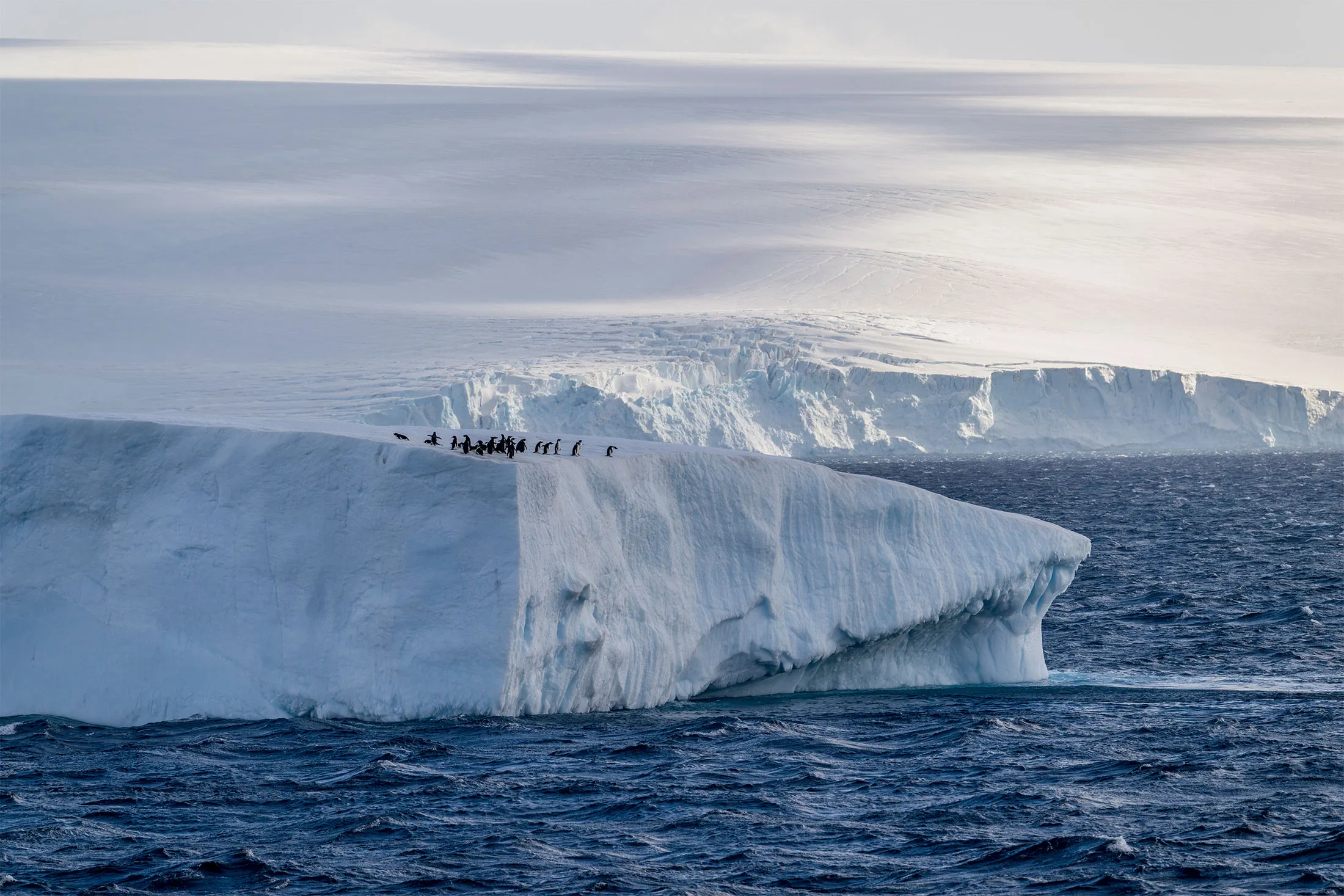 An iceberg&nbsp;in the Weddell Sea, near the tip of the Antarctic Peninsula,&nbsp;in 2022.&nbsp;Ice is missing all around the continent, but it’s particularly pronounced near the Antarctic Peninsula and areas north of the Weddell Sea.
