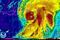 epa05519485 A handout satellite image provided by the National Oceanic and Atmospheric Administration (NOAA) shows Hurricane Hermine off the coast of the state of Florida, USA, 01 September 2016. Some counties along Florida's Gulf Coast have issued mandatory evacuation notices. EPA/NOAA / HANDOUT HANDOUT EDITORIAL USE ONLY