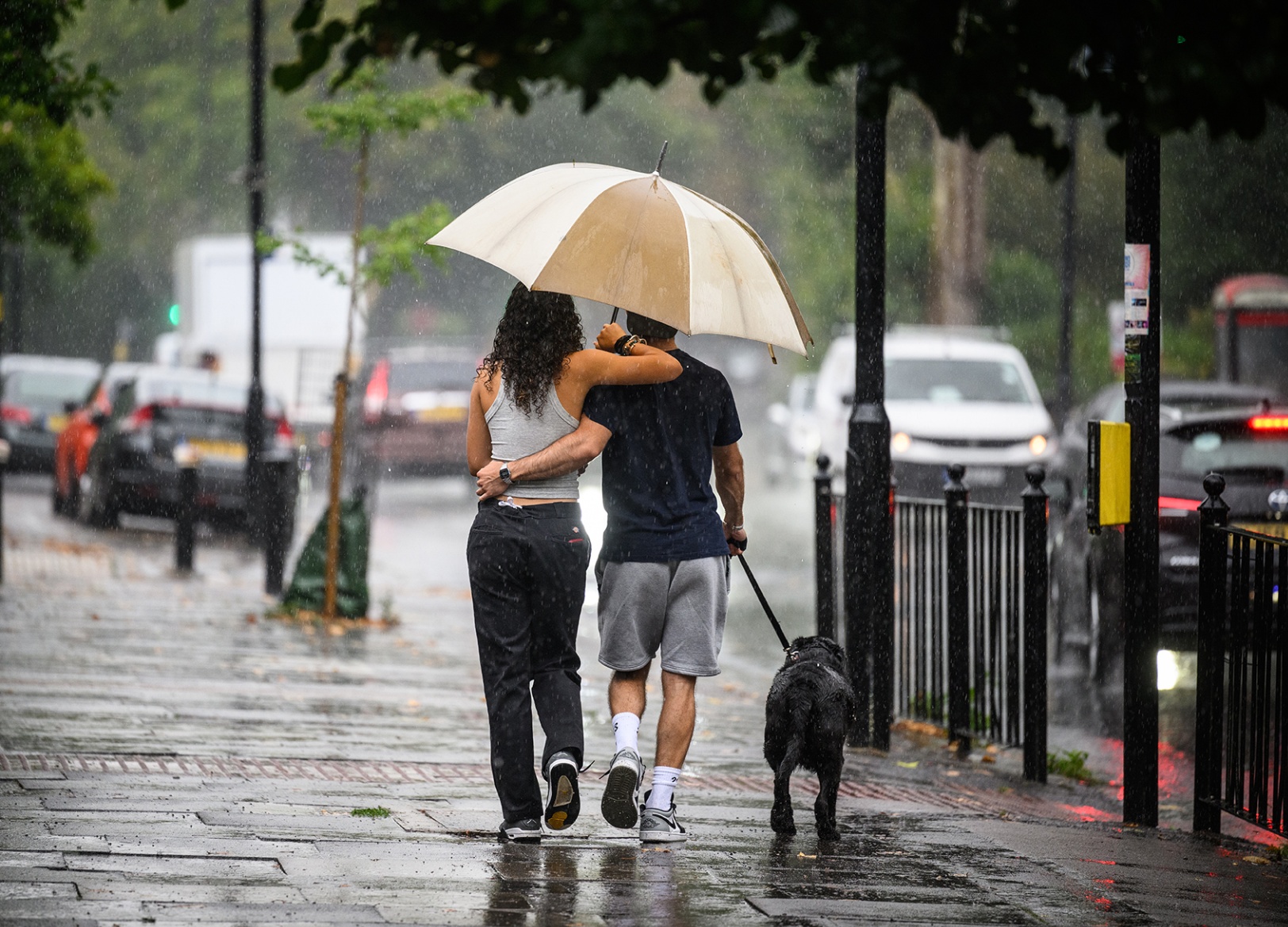 Strangers in the night, The walk of the umbrella