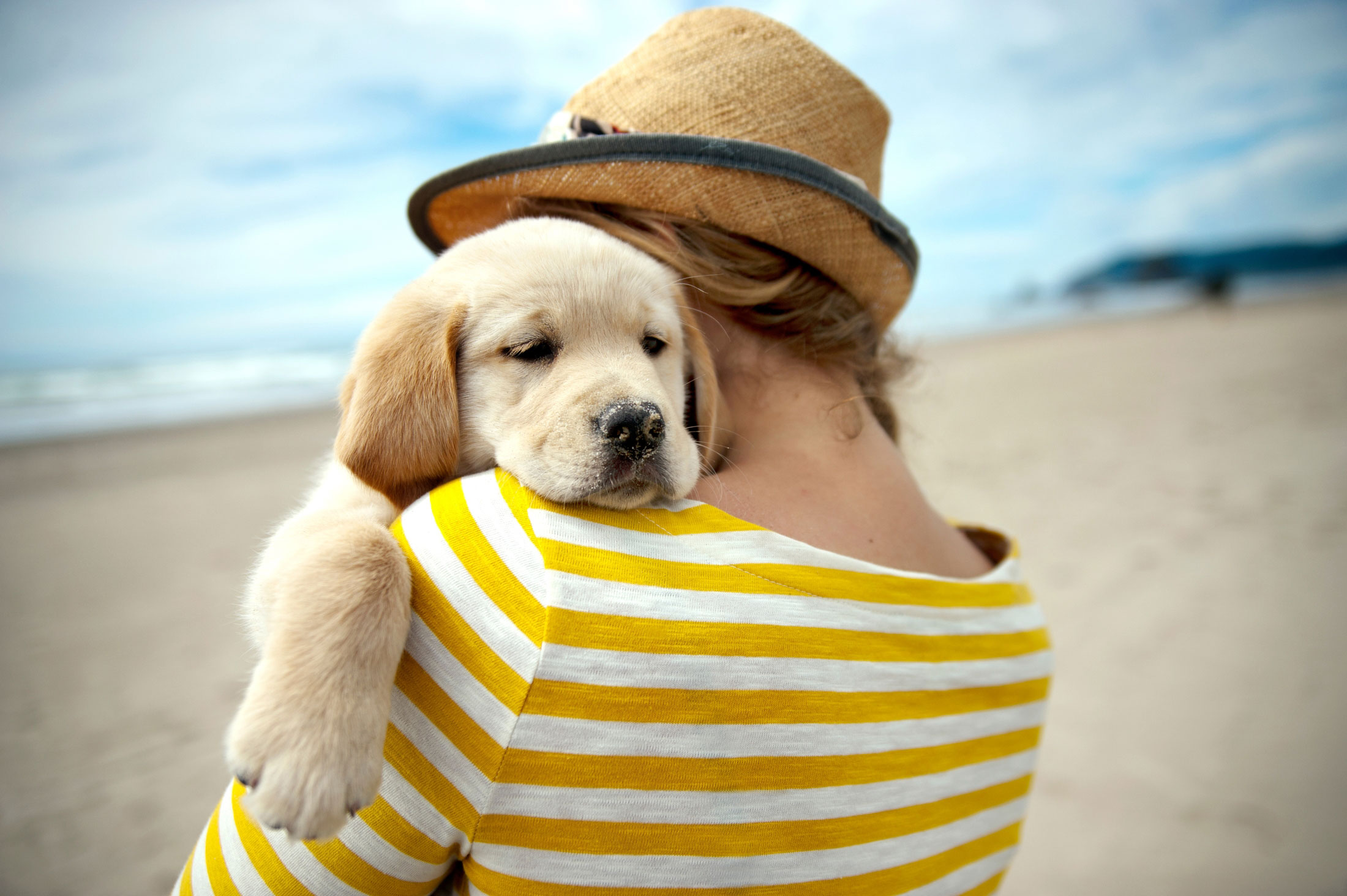 Resultado de imagen para labrador and owner hug