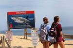 Visitors pass by a shark warning sign posted along the shores of Cahoon Beach in Wellfleet, Mass. on Aug. 1.&nbsp;