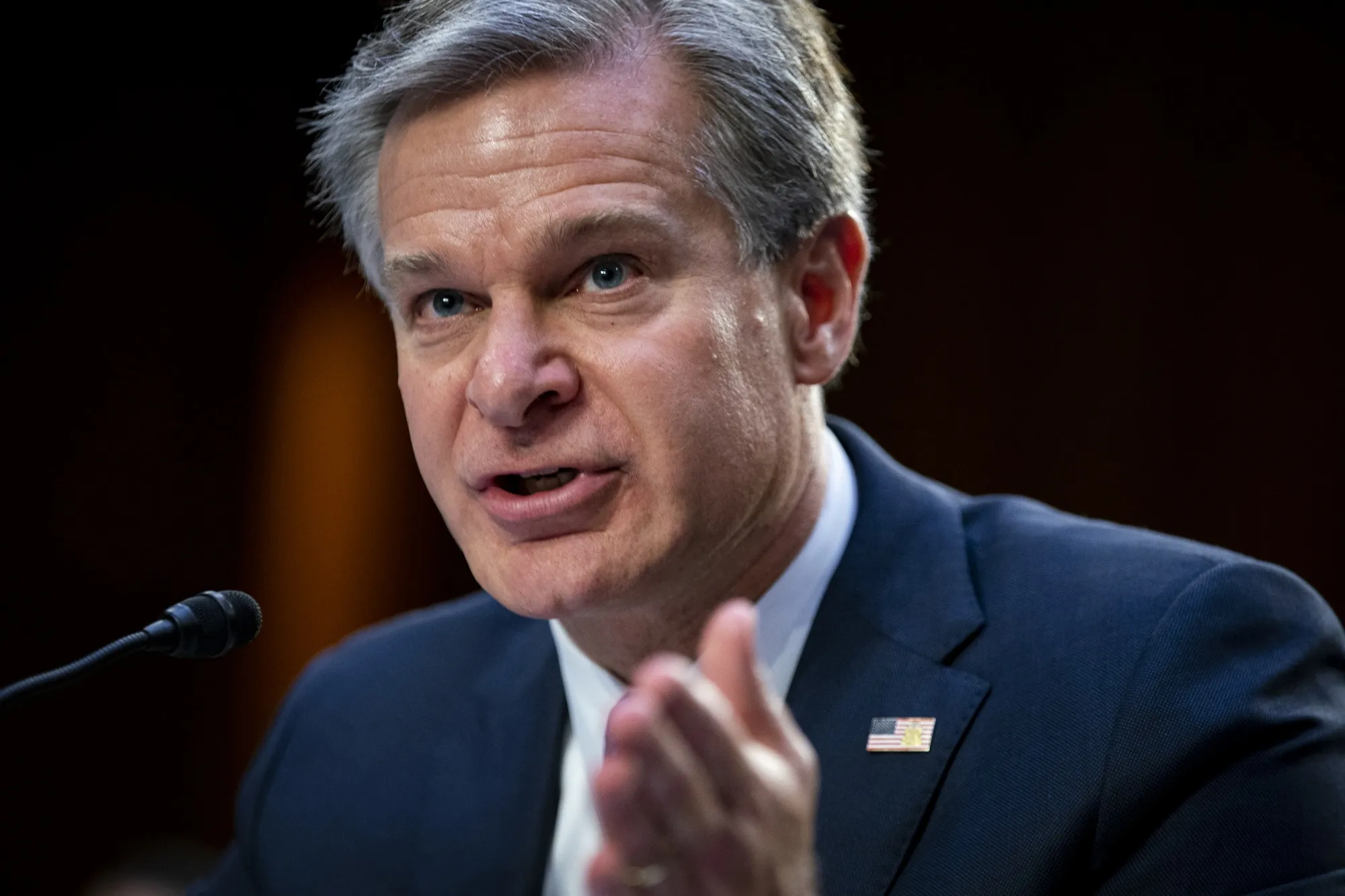 Christopher Wray&nbsp;