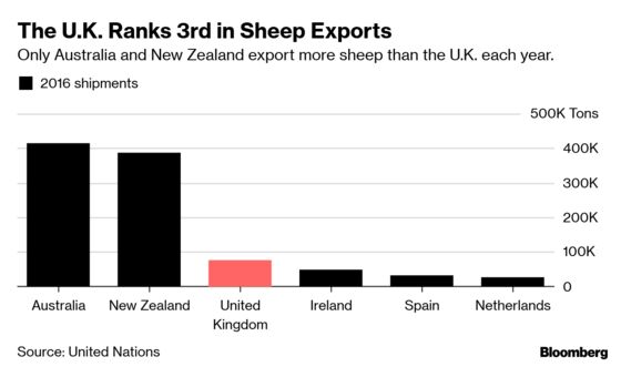 Why Lamb Chops Could Be on the Menu in a No-Deal Brexit