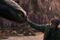 relates to 「ヒックとドラゴン」実写版が２週連続首位、新作２本抑え－北米映画