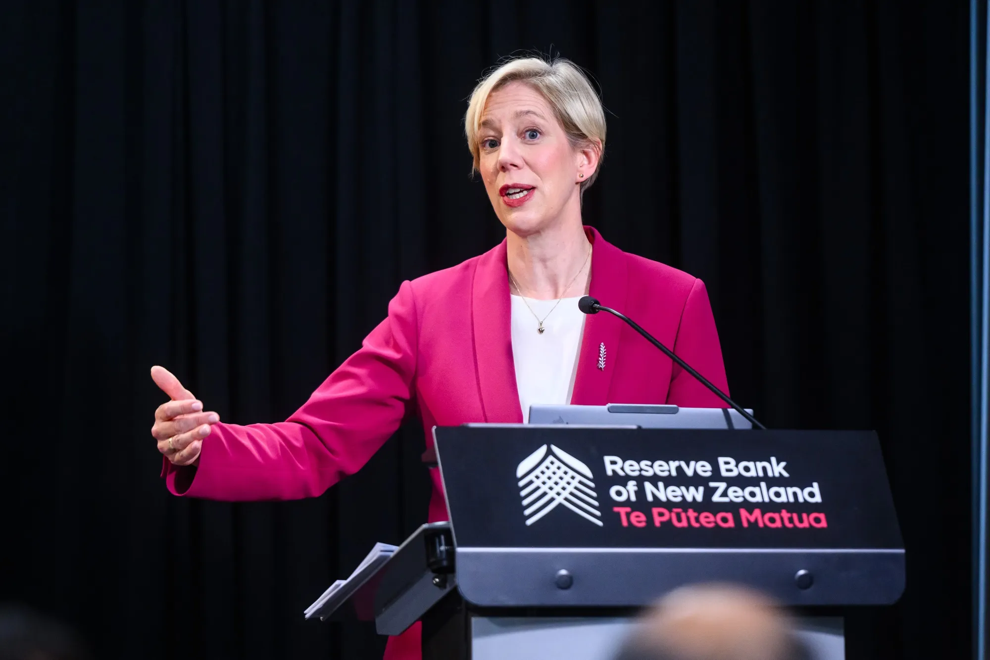 NZ中銀のブレマン総裁