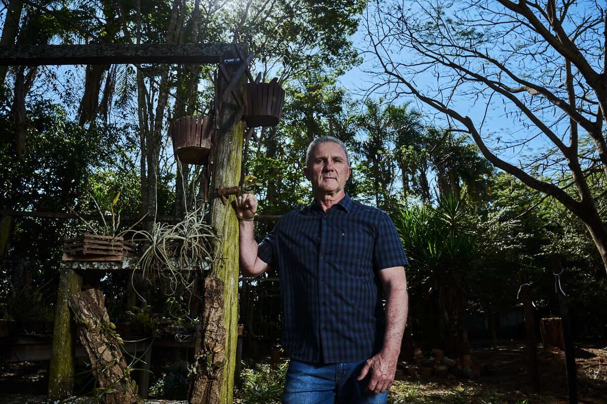 bloomberg.com - Fabiano Maisonnave - Can a Farmer and a Startup Turn a Profit From Saving the Amazon?