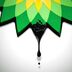 What Went Wrong for BP