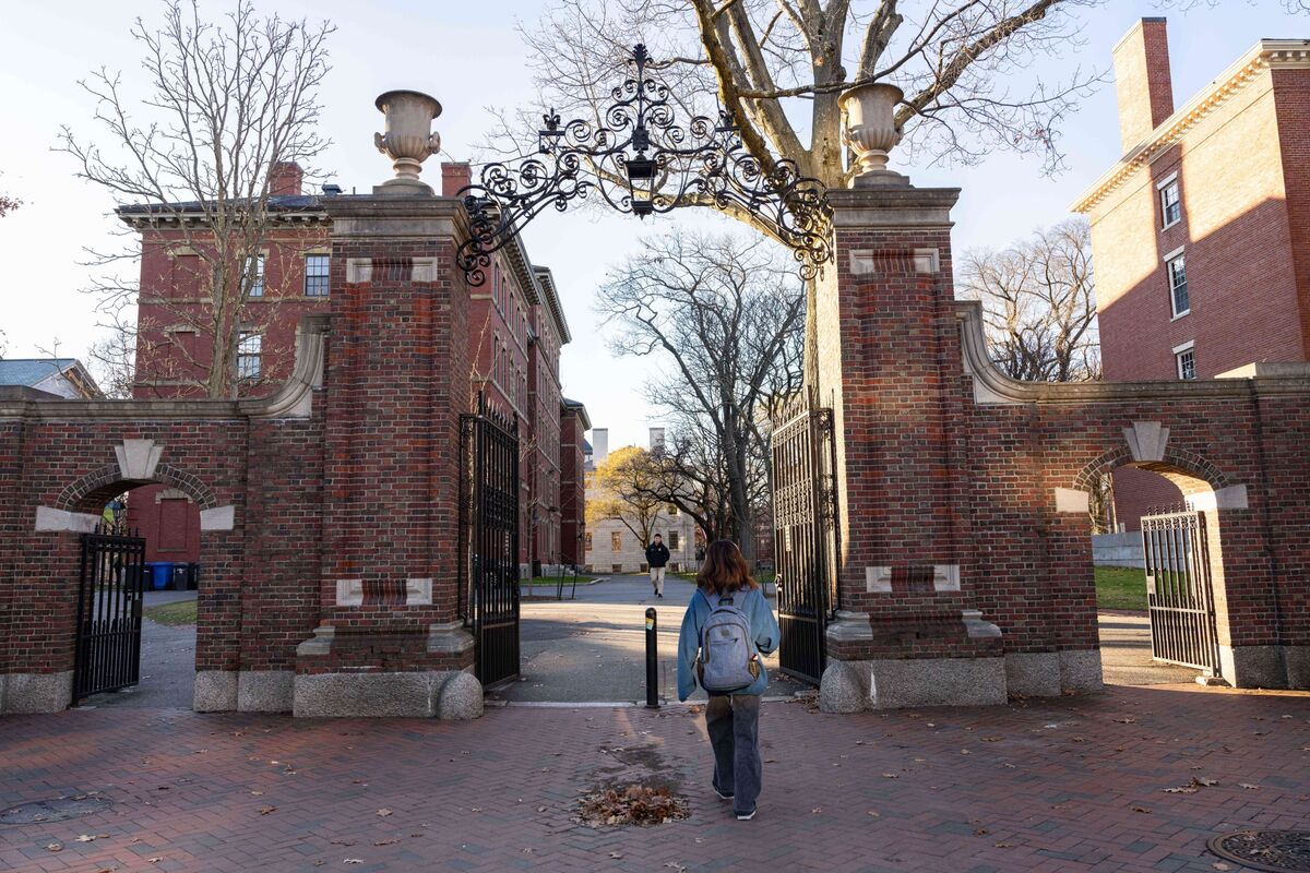 Harvard Forced to Beef Up Legal Team for Congressional Probes - Bloomberg