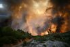 Deadly Wildfires Ravage Southwest France as Heat Wave Builds