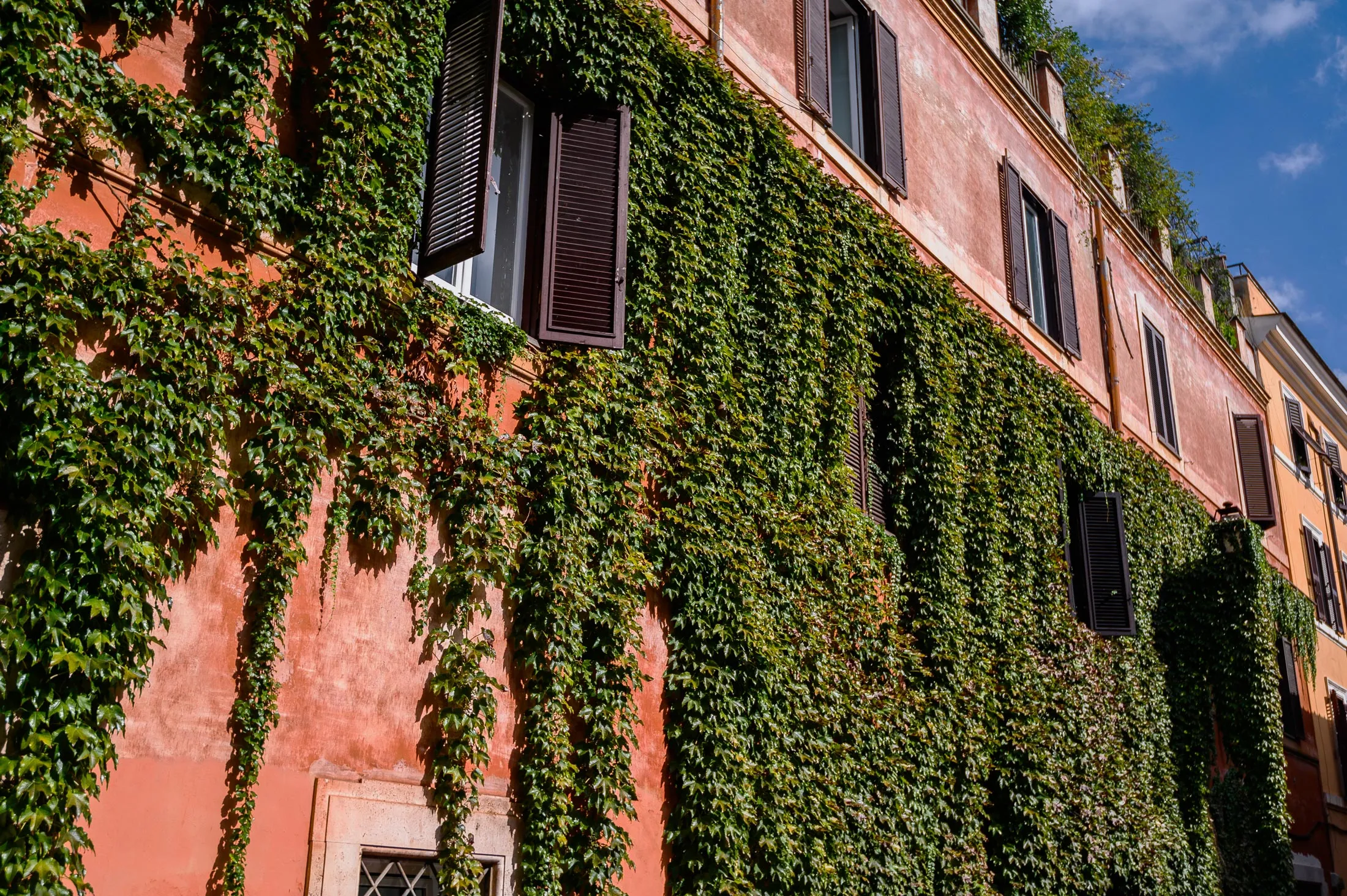 In the Mediterranean, climbing plants are frequently used to cool down buildings.&nbsp;