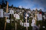 Mourners stand beside trees planted with the ashes of victims lost to Covid-19 at the Paramo de Guerrero nature preserve near Cogua, Colombia, on June 27.