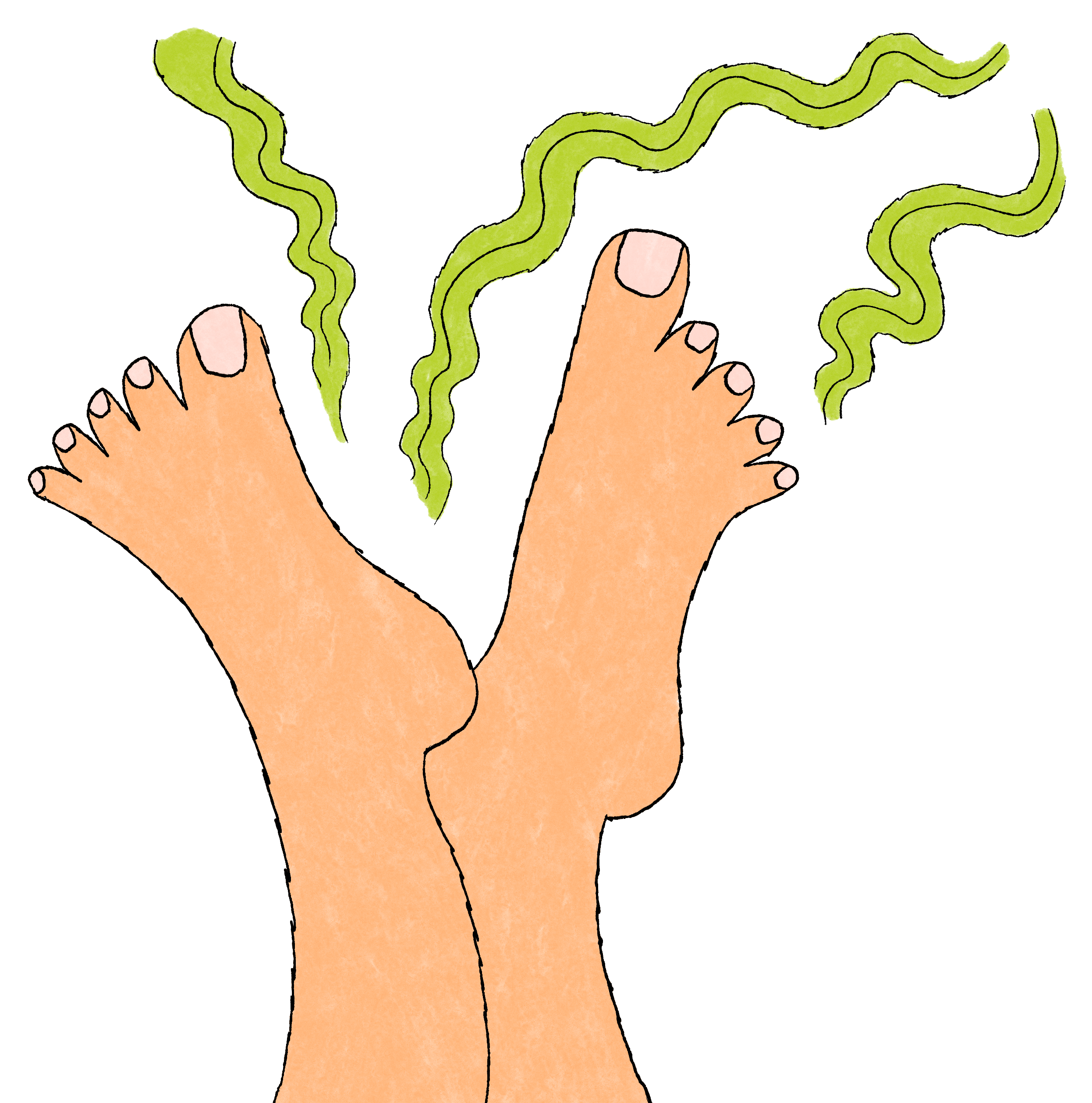 Illustration by Millie von Platen