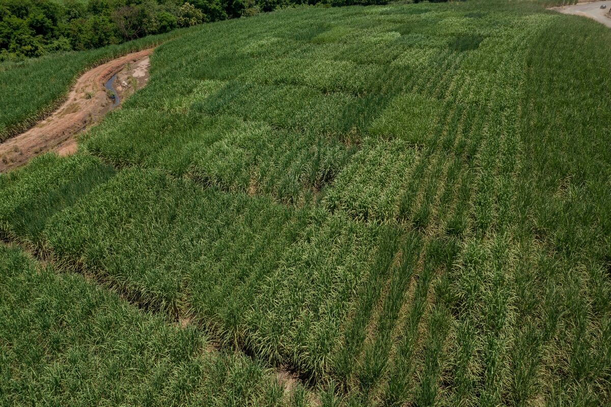 assets.bwbx.io image