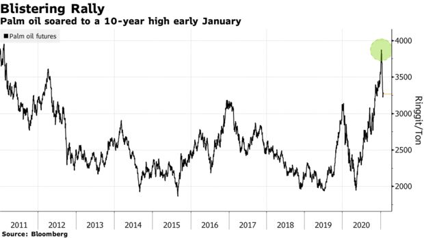 Palm oil soared to a 10-year high early January