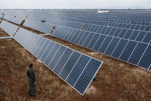 A visitor inspects photovoltaic panels operating in a solar park.