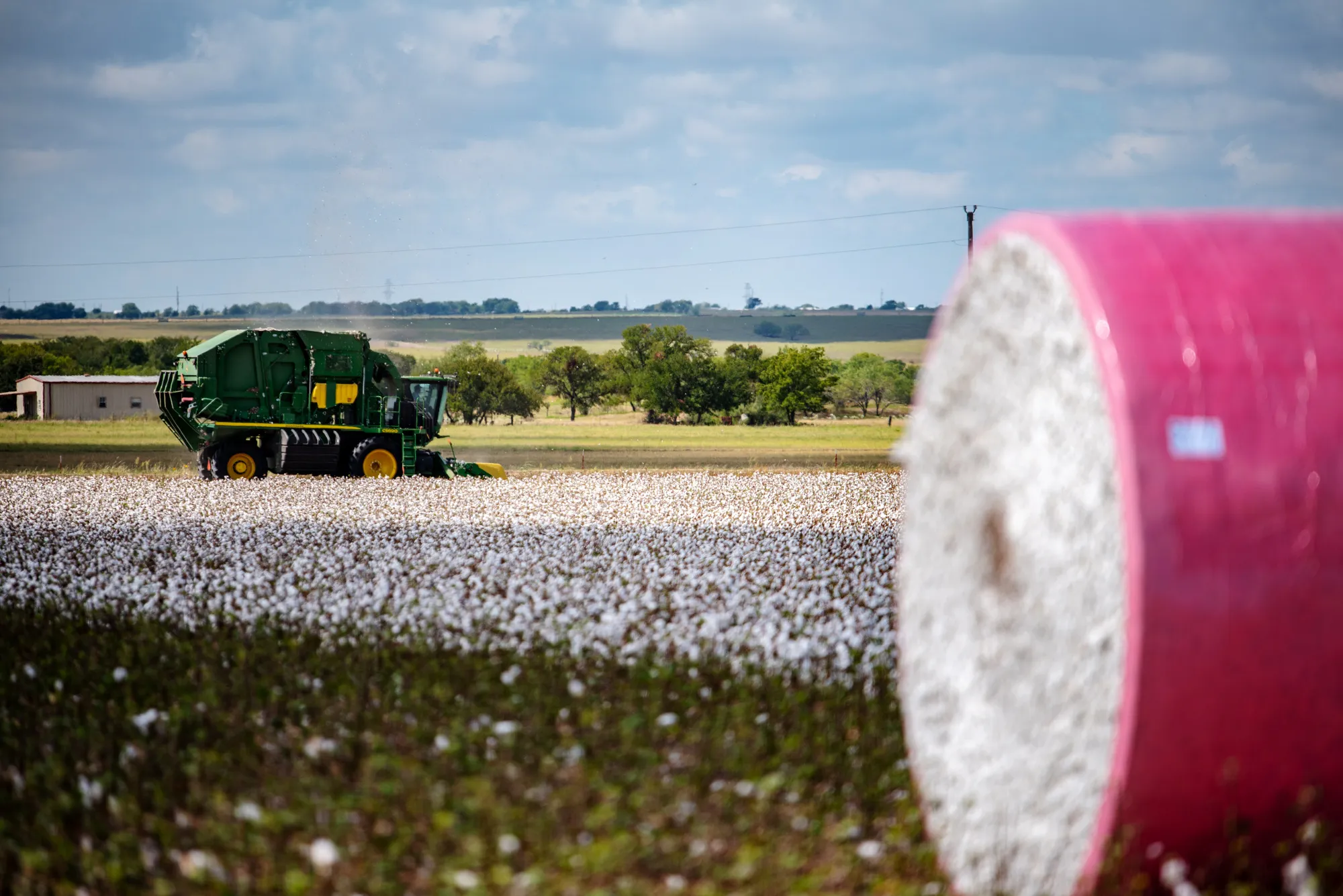 A farmer&nbsp;harvests cotton in a field outside Rogers, Texas in 2018.&nbsp;