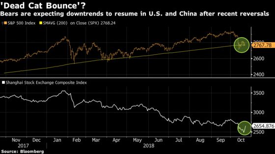 Confirming a 'Dead Cat Bounce' Is on Bears' Minds: Taking Stock