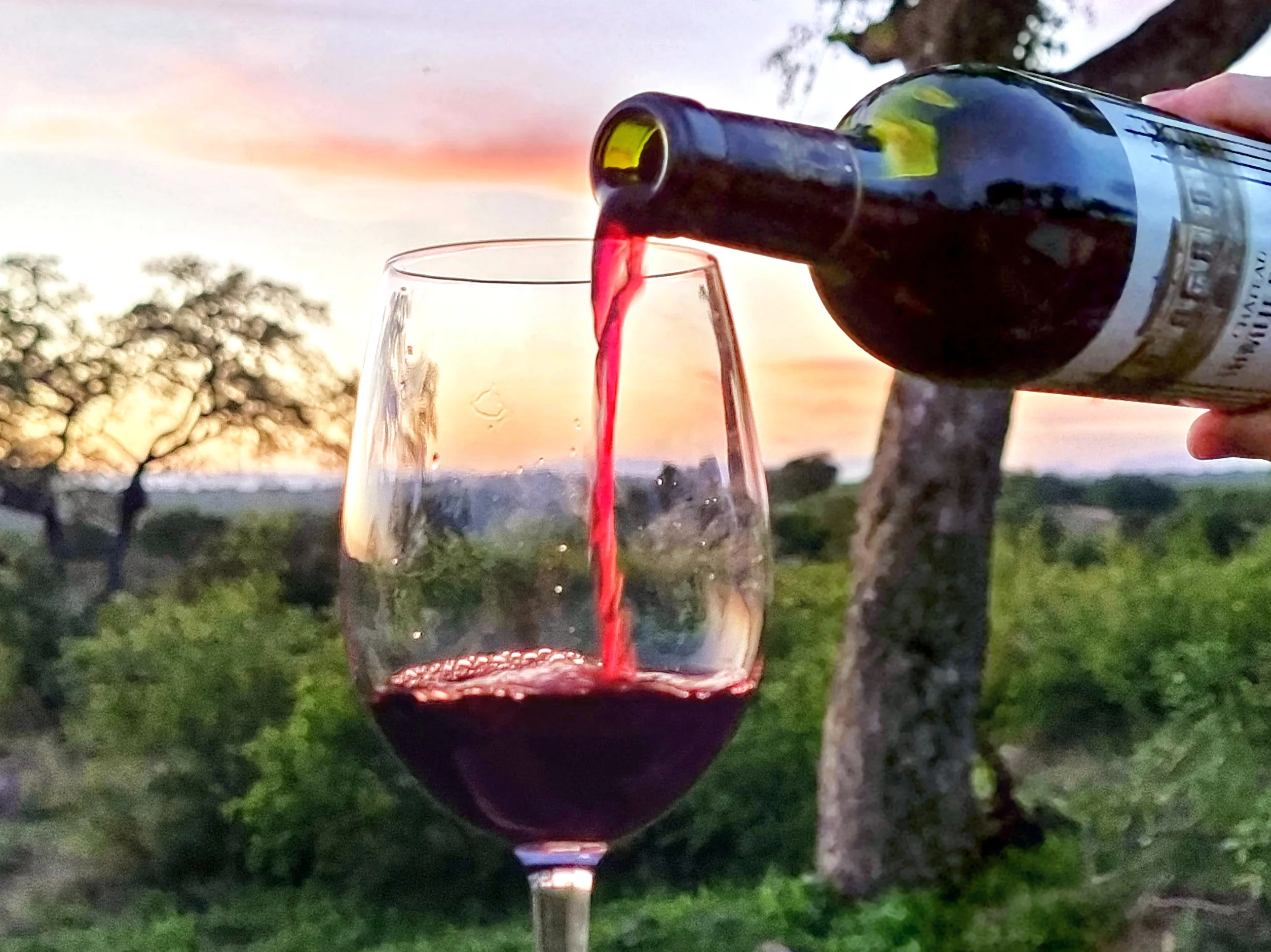 How to save the wine industry.