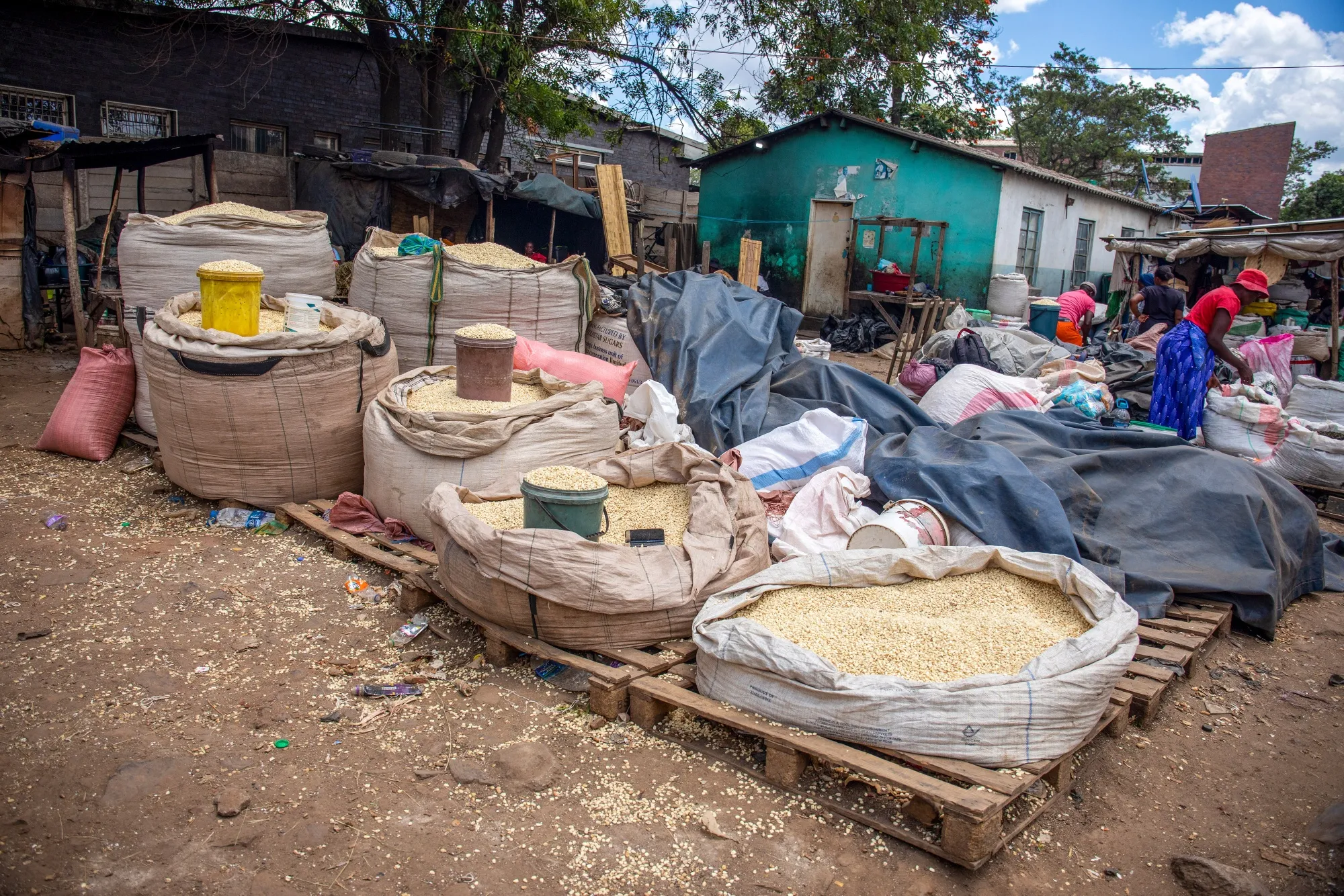 Corn grain for sale at a market in the Mbare district of Harare, Zimbabwe, on&nbsp;March 11.