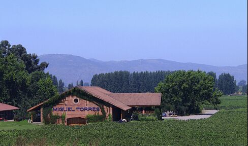 Miguel Torres Winery