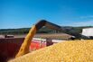 European Corn Hits Two-Year High as Input Cost Concerns Mount