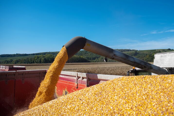 European Corn Hits Two-Year High as Input Cost Concerns Mount