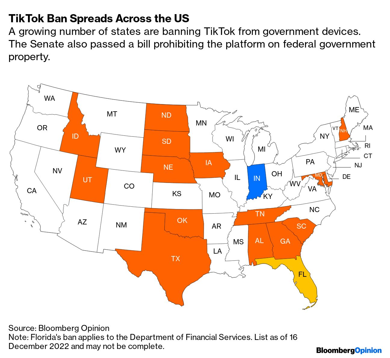 What's Next for TikTok in the U.S.: A Look at the State and