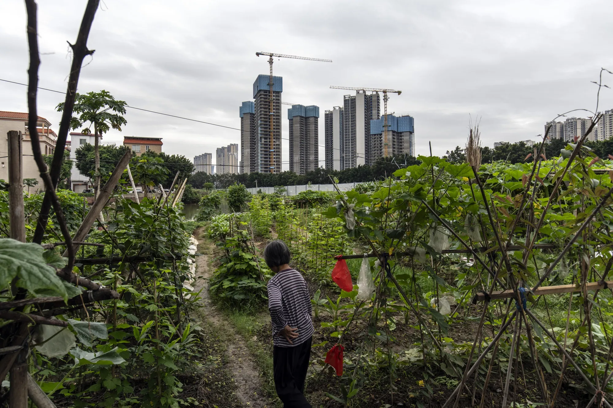 A Country Garden development in Foshan, China.