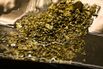 1500982181_Gold-nuggets