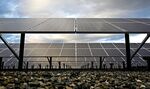 Solar modules in Porterville, California. Photographer: Ken James/Bloomberg