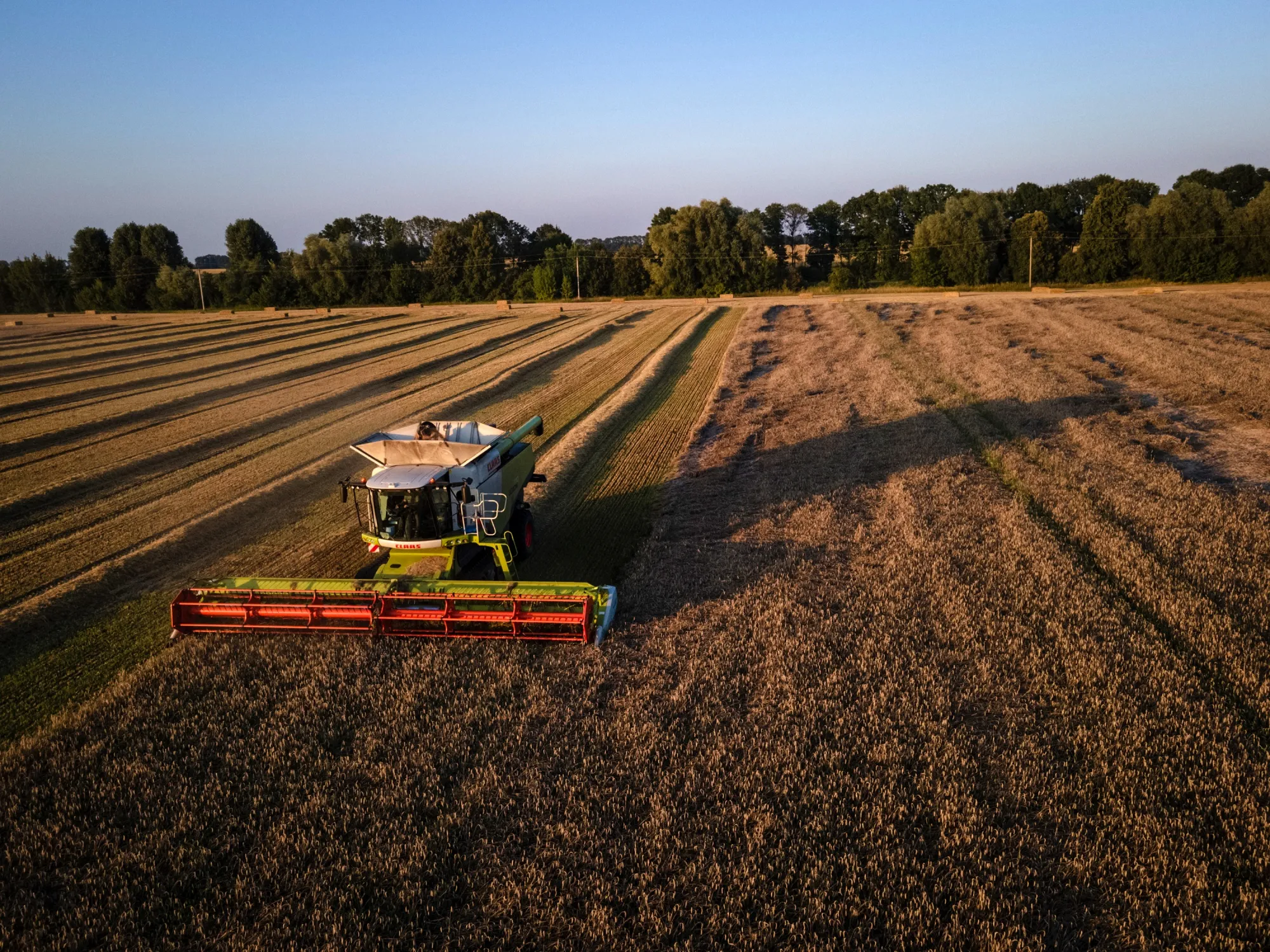 Wheat harvest in a field&nbsp;in Kyiv Oblast, Ukraine.&nbsp;