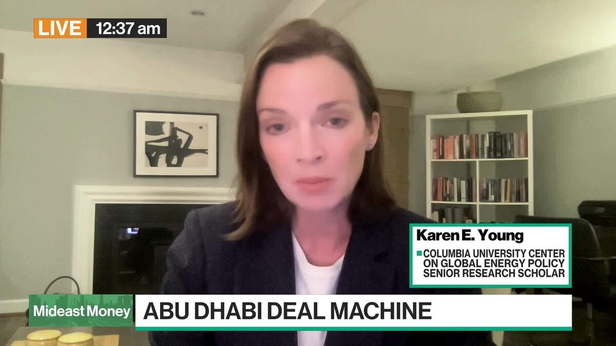 Young: UAE’s Sovereign Wealth Different to Neighbors