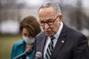 Senate Majority Leader Chuck Schumer speaks during a news conference in Washington on March 17, 2021. 