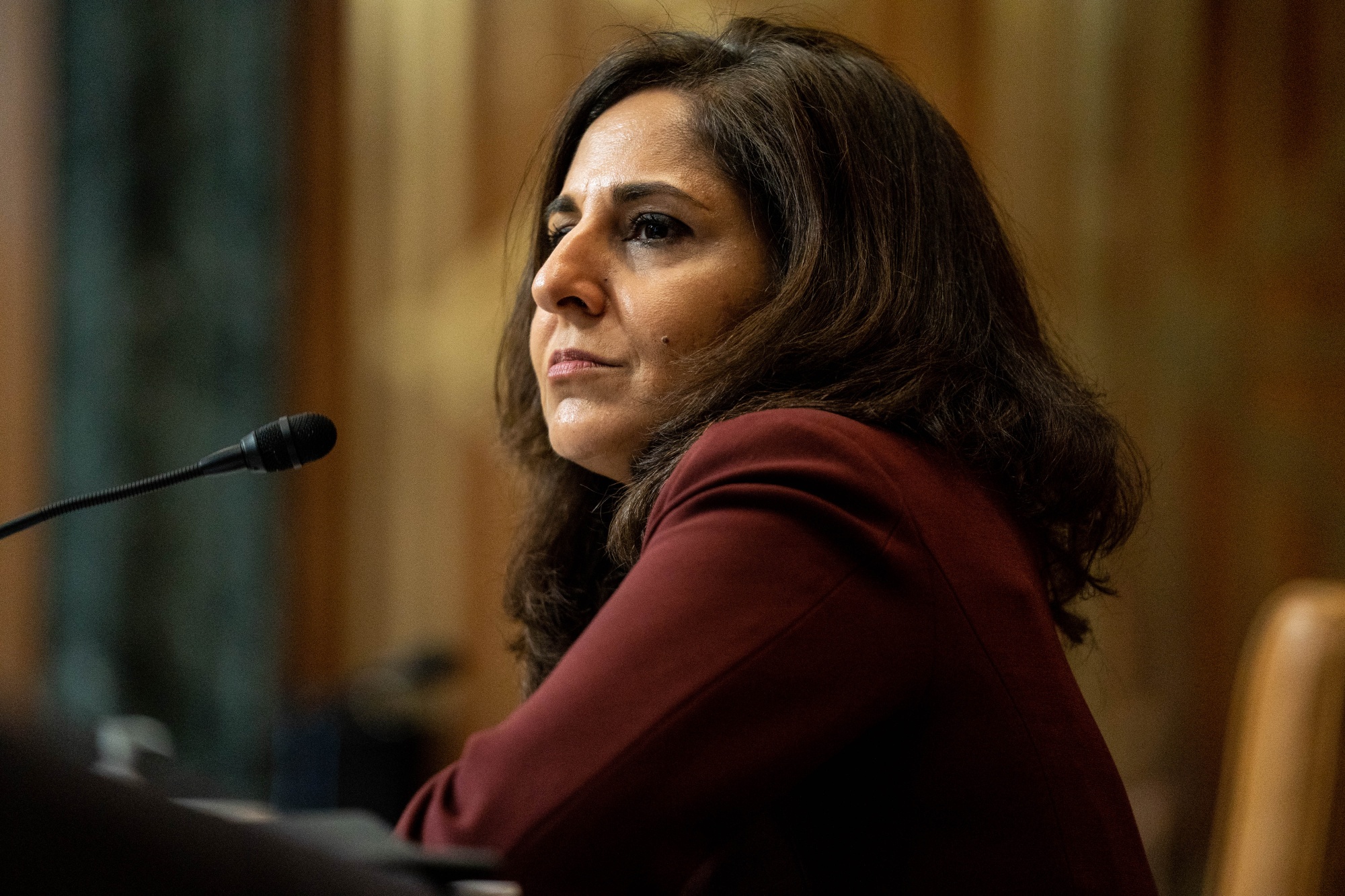 Neera Tanden, nominee for director of the Office and Management and Budget,&nbsp;appears before a Senate Budget Committee confirmation hearing in Washington on Feb. 10, 2021.&nbsp;