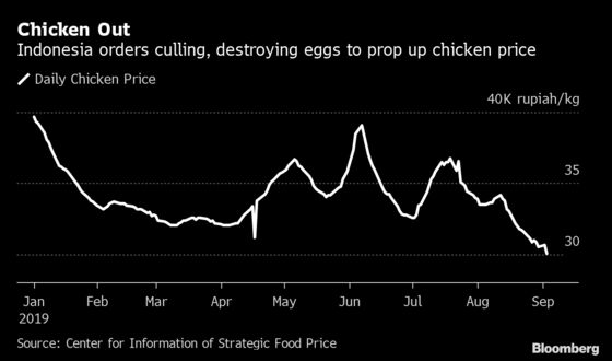 Indonesia Says Throw Eggs Away to Support Chicken Meat Prices