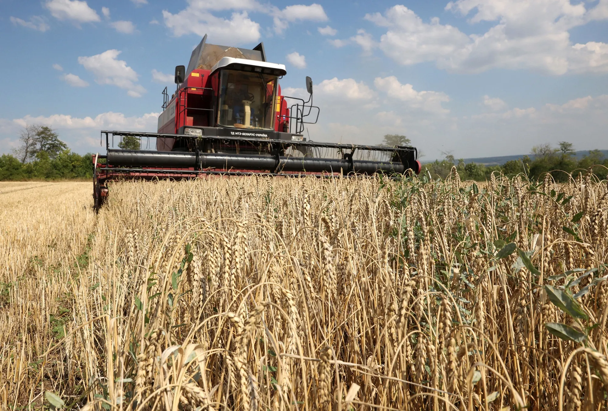 A combine harvests wheat near Kramatorsk, in Donetsk region, Ukraine.&nbsp;About a third of the country’s crop exports have been wiped out since its Black Sea ports were effectively blocked last month.&nbsp;