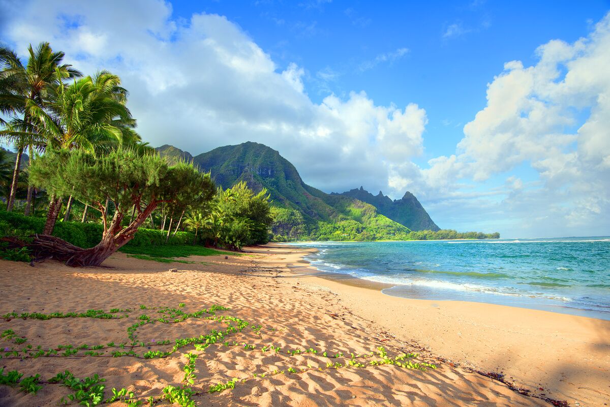 Гавайи пляж 4к