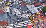 Shibuya Crossing in Tokyo.