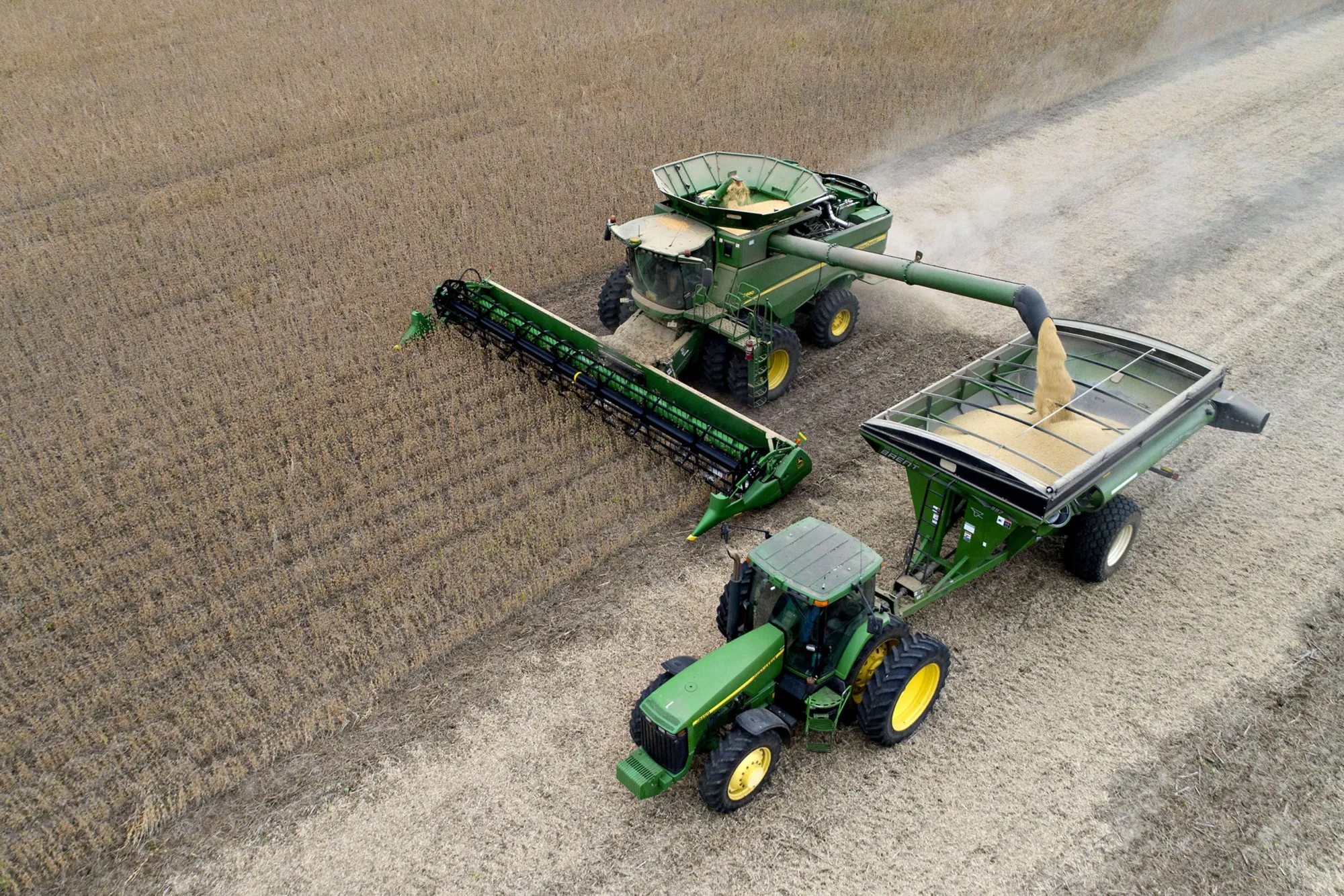 Soybeans are harvested.